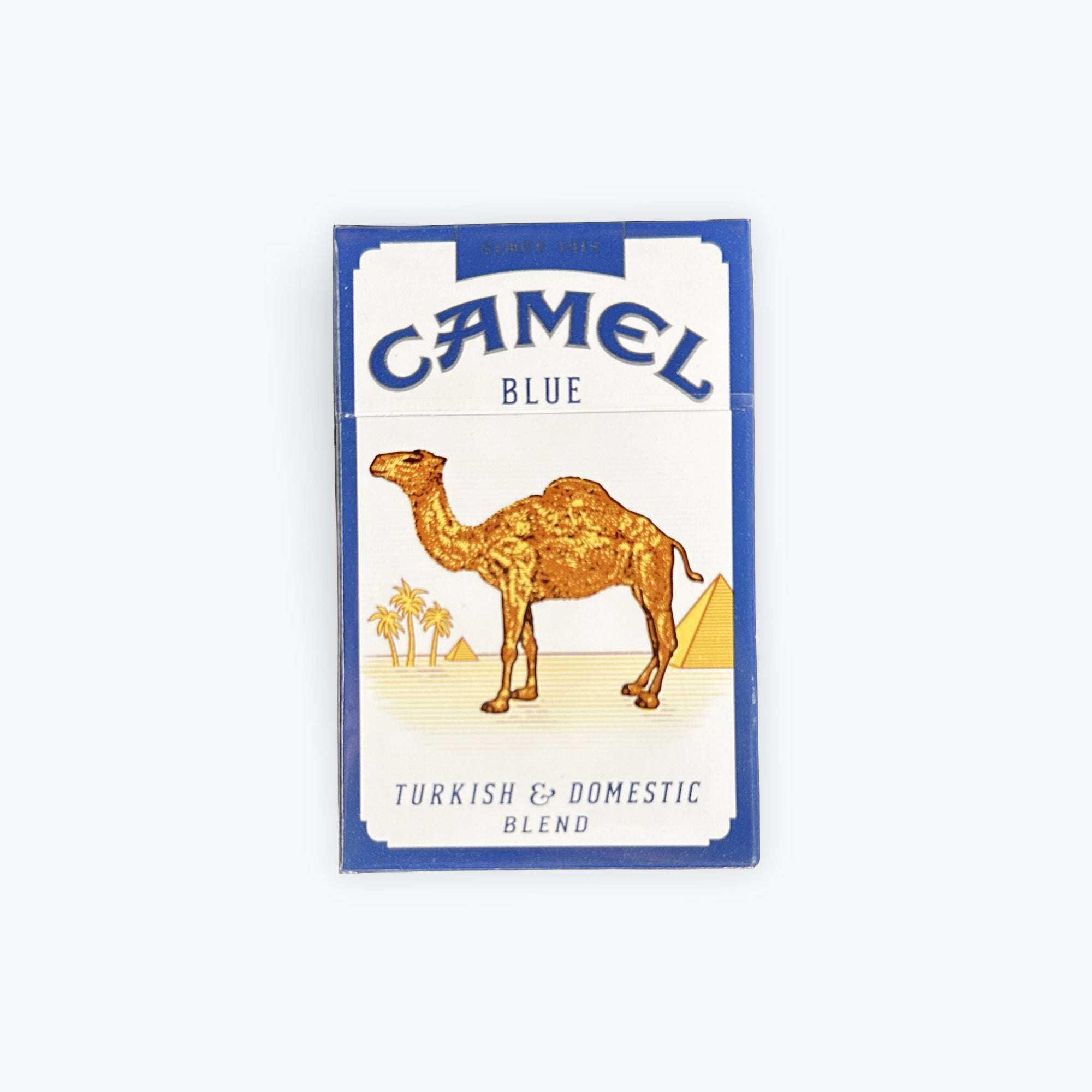 Camel Blue Shorts